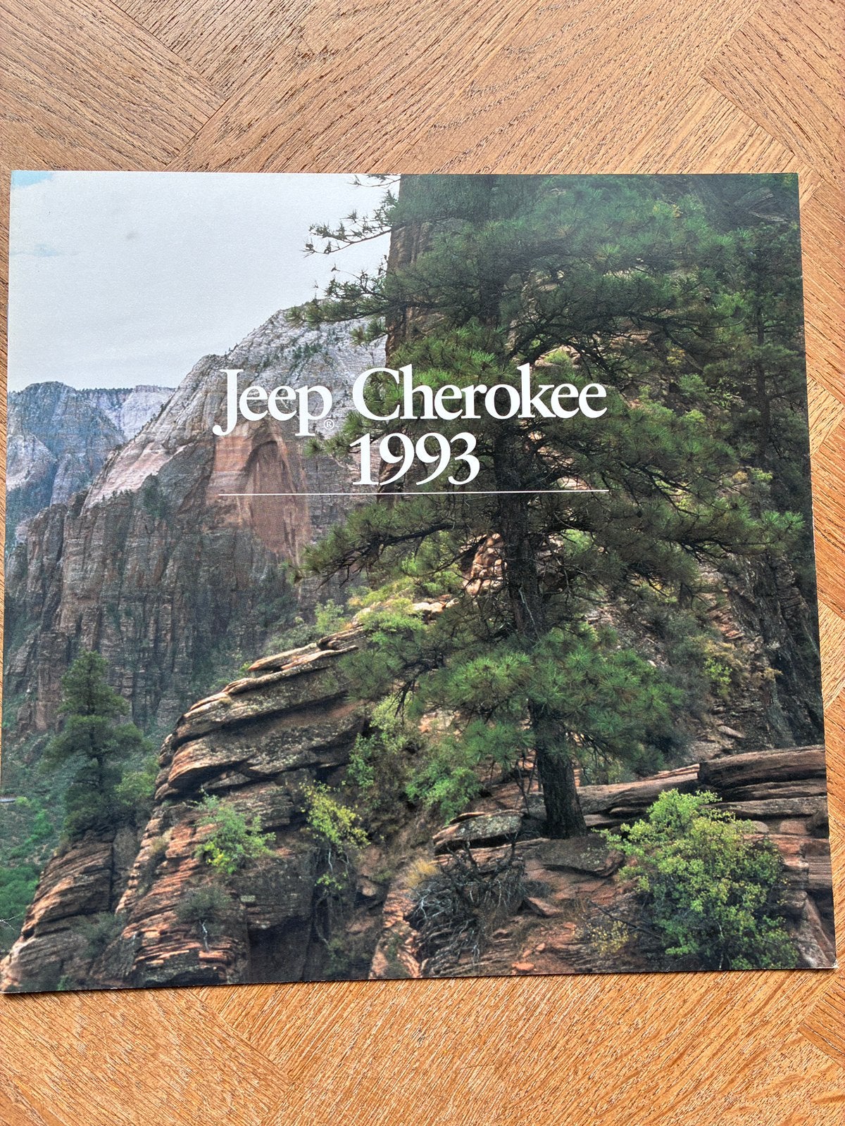 1993 Jeep Cherokee brochure Canada, Verzenden, Zo goed als nieuw, Overige merken