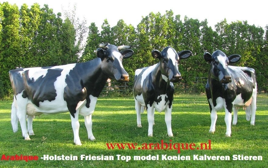 Holstein Friesian  koe  en  Stier .... (   Top modellen !! ), Tuin en Terras, Tuinbeelden, Ophalen, Nieuw, Kunststof, Dierenbeeld