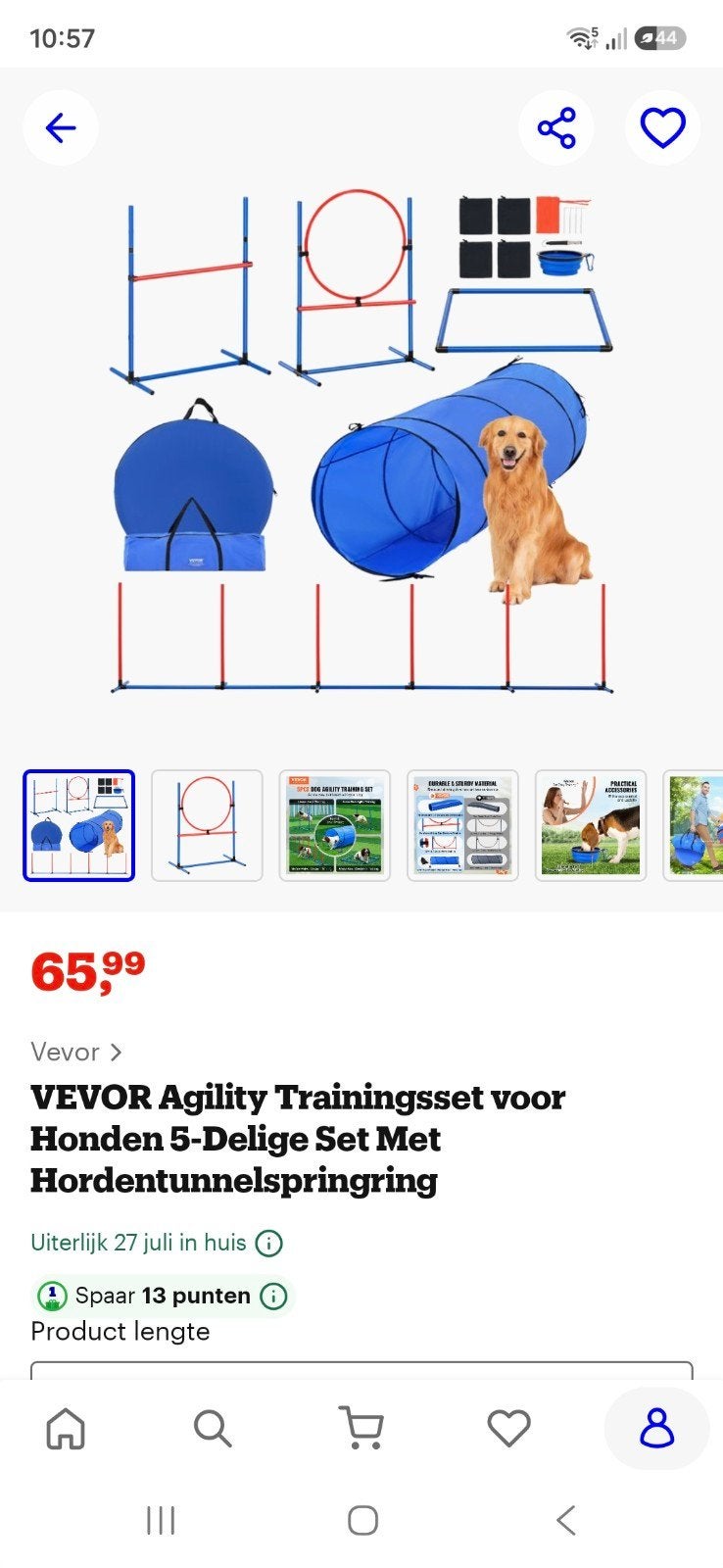 Agillity set honden, Ophalen, Zo goed als nieuw