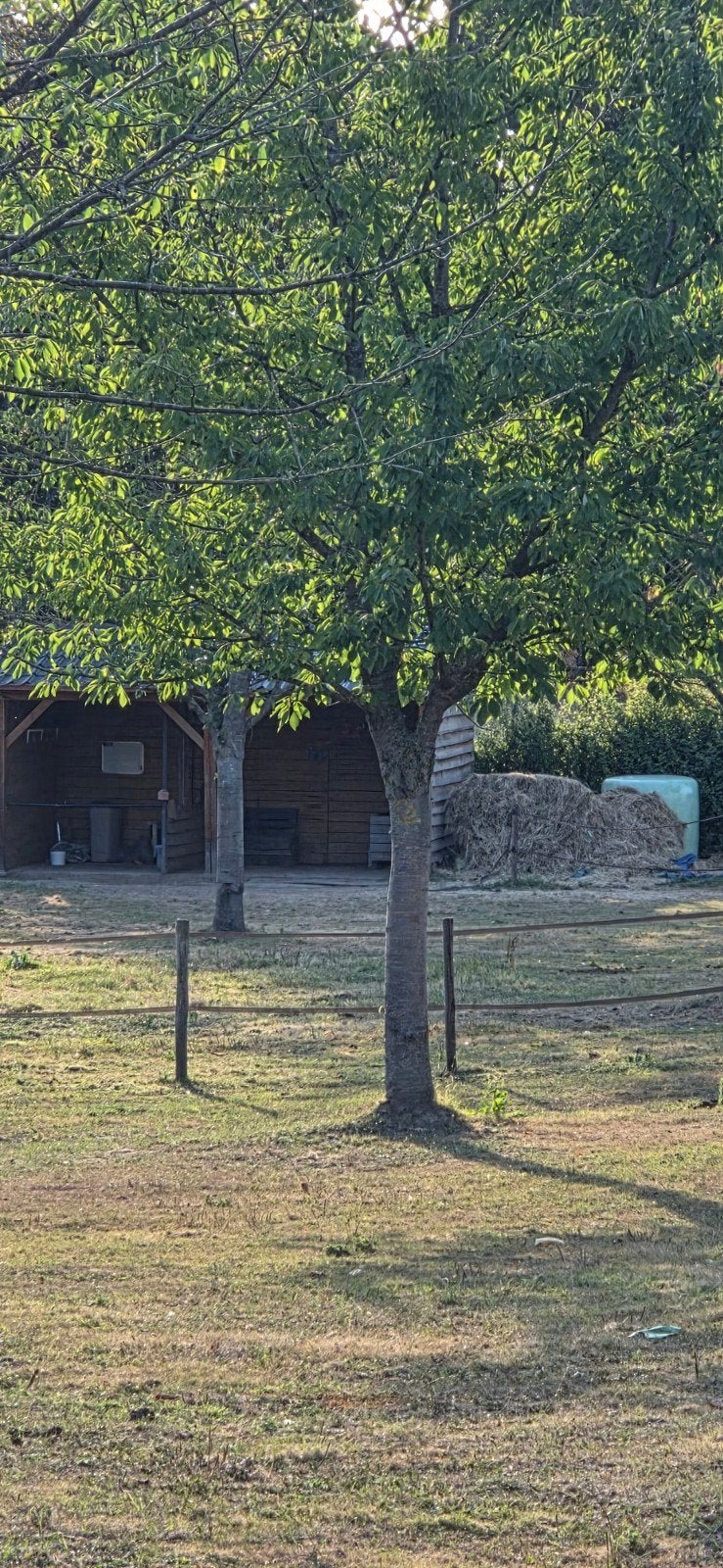 weiland tehuur, Dieren en Toebehoren