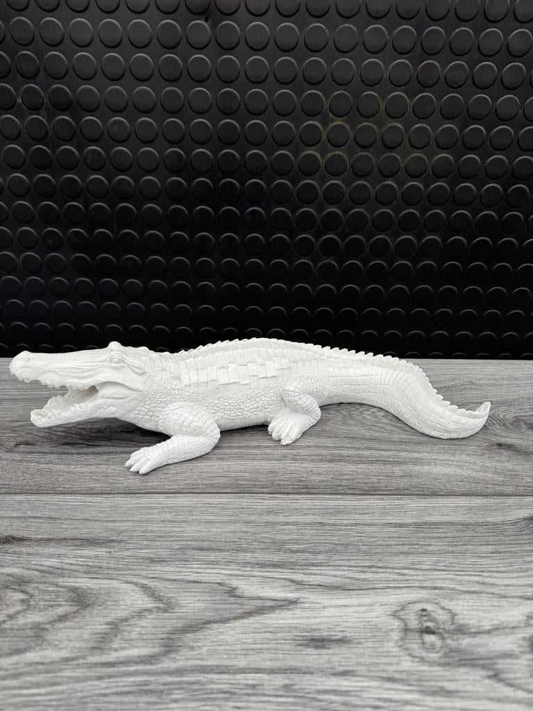 krokodil, Woondecoratie eindhoven, Nieuw, Ophalen of Verzenden, Woondecoratie eindhoven