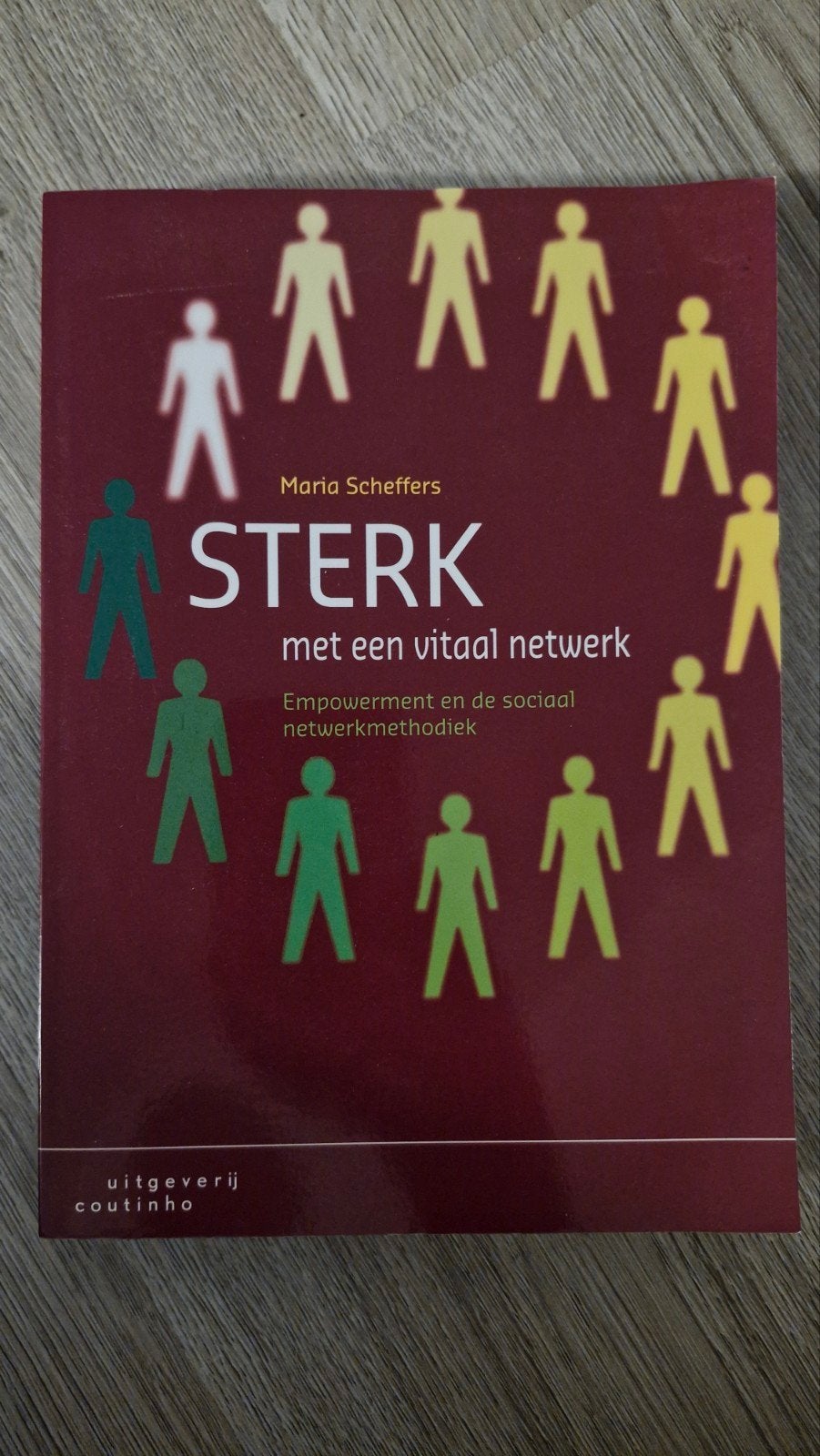 Maria Scheffers - Sterk met een vitaal netwerk, Sociale wetenschap, Ophalen of Verzenden, Maria Scheffers, Zo goed als nieuw