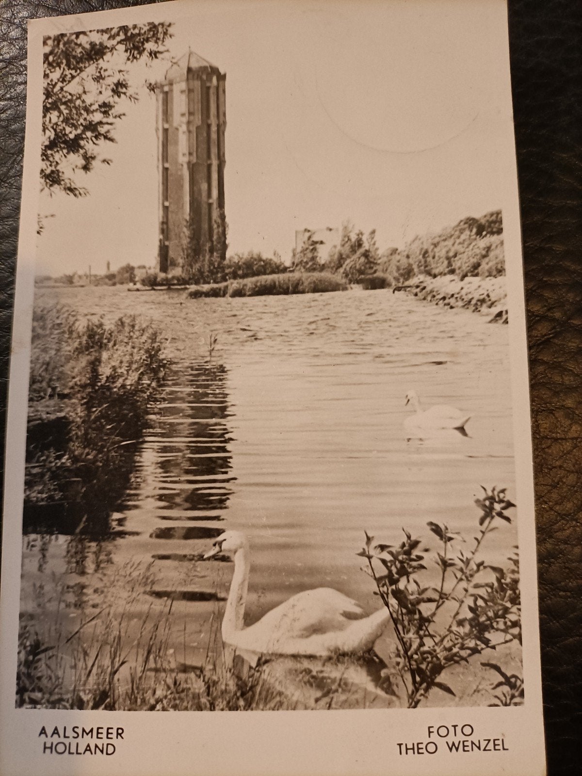 Aalsmeer. Zwanen de bij de watertoren. Foto Theo Wenzel, Verzenden, 1940 tot 1960, Gelopen, Noord-Holland