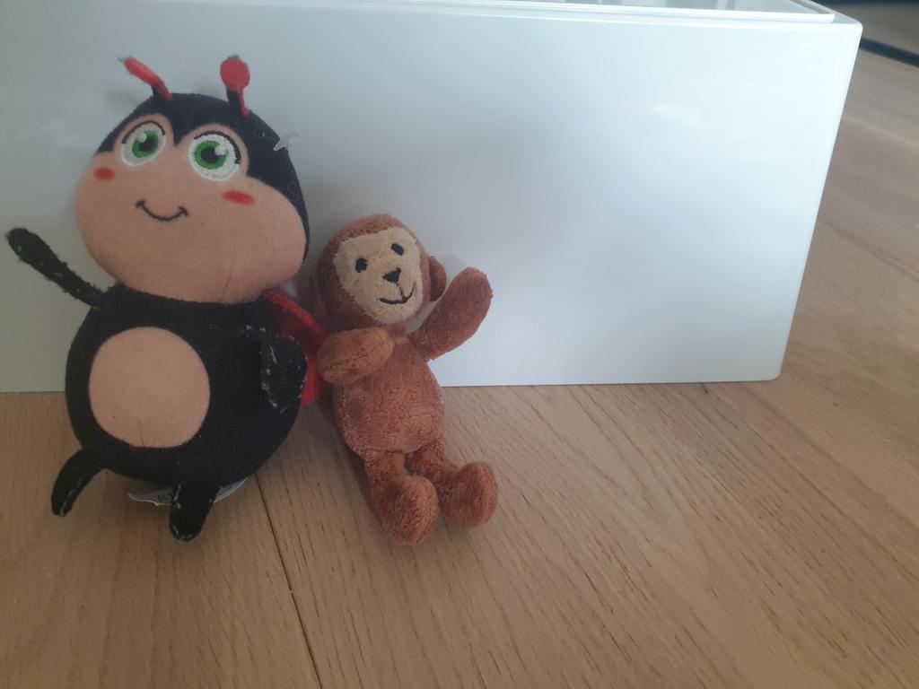 Lieveheersbeestje en aap knuffels, Gebruikt, Ophalen of Verzenden, Klein (minder dan 20 cm), Bruin