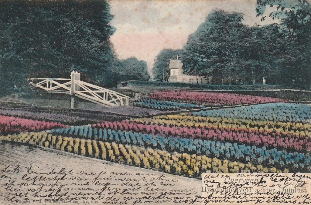 Overveen Veld achter duinlust 1902, Ophalen of Verzenden, Voor 1920, Gelopen, Noord-Holland