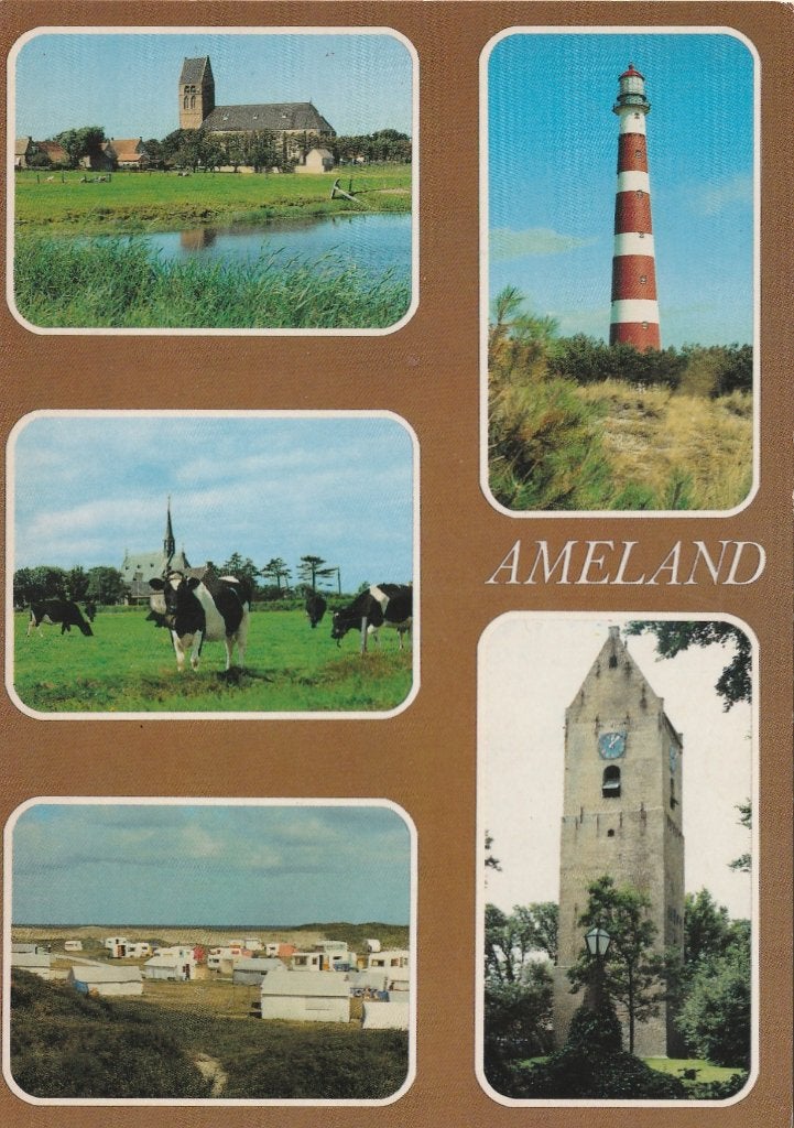 AMELAND Koeien Camping Toren, Verzenden, 1980 tot heden, Ongelopen, Waddeneilanden