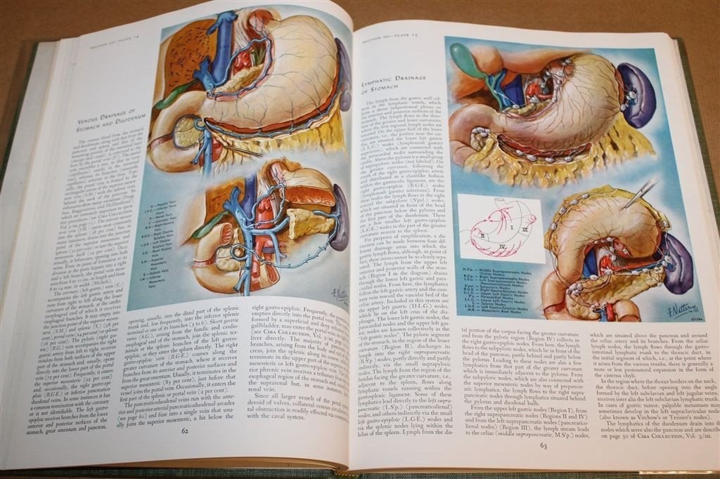 Digestive System Part I — Netter, Ciba Deel 3 Spijsvertering, Boeken, Ophalen of Verzenden, Gelezen, Natuurwetenschap