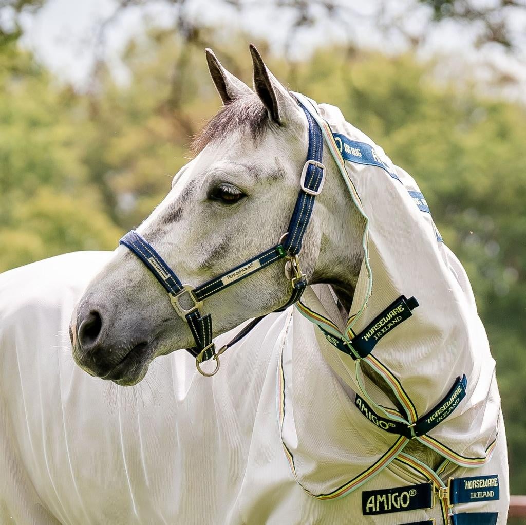 Field Safe Headcollar, veiligheids halster, Pony, Cob, Full, Dieren en Toebehoren, Ophalen of Verzenden, Nieuw, Overige soorten