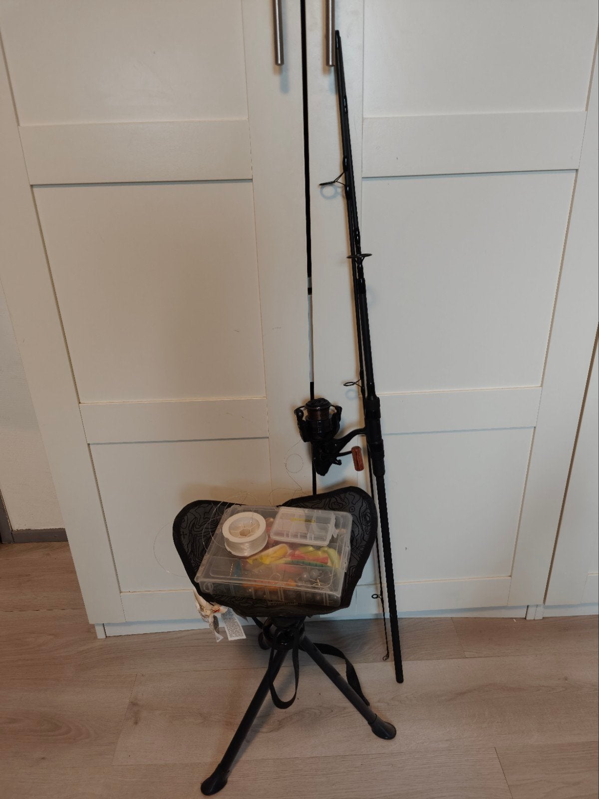 Daiwa Karperhengel + Prologic Molen + Complete Visset, Watersport en Boten, Hengelsport | Algemeen, Ophalen, Gebruikt
