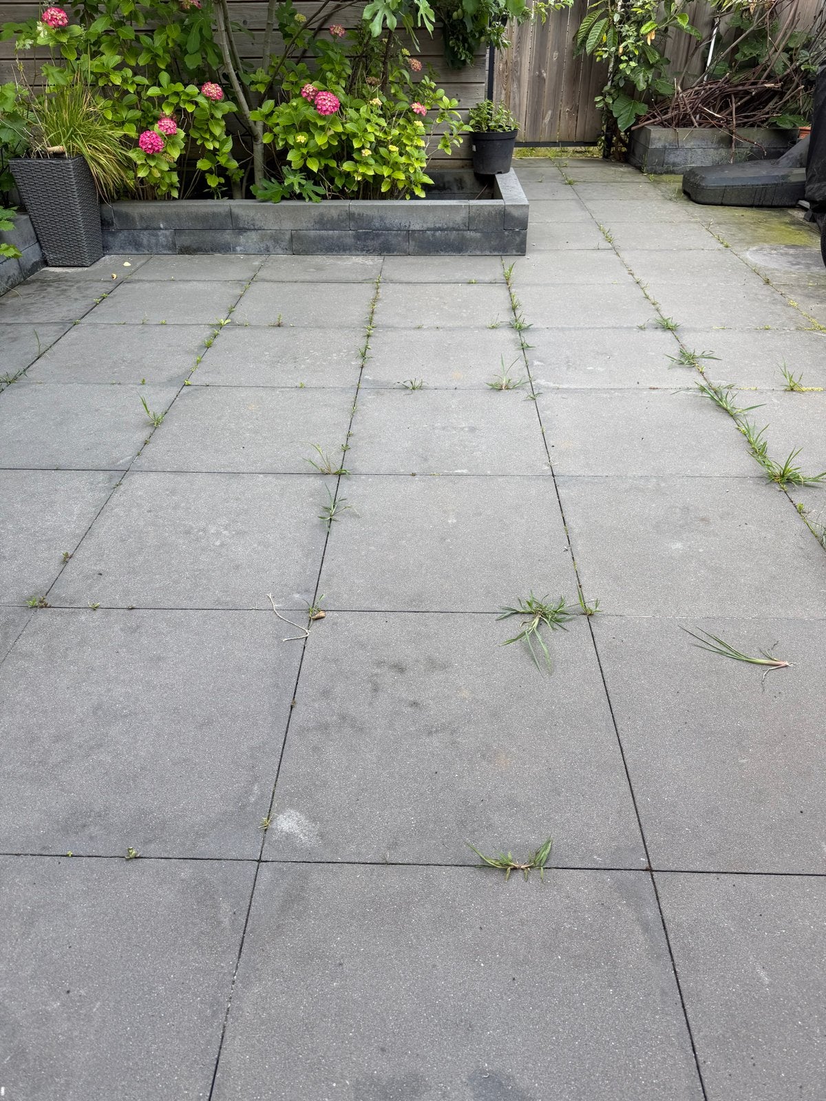 Gratis op te halen Tuintegels, Ophalen, Gebruikt, Beton, Terrastegels