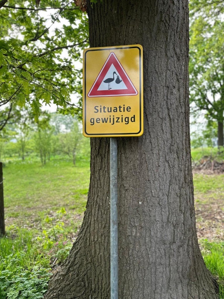 €2,50 Geboorte bord te huur baby versiering geboren ooievaar, Ophalen, Zo goed als nieuw