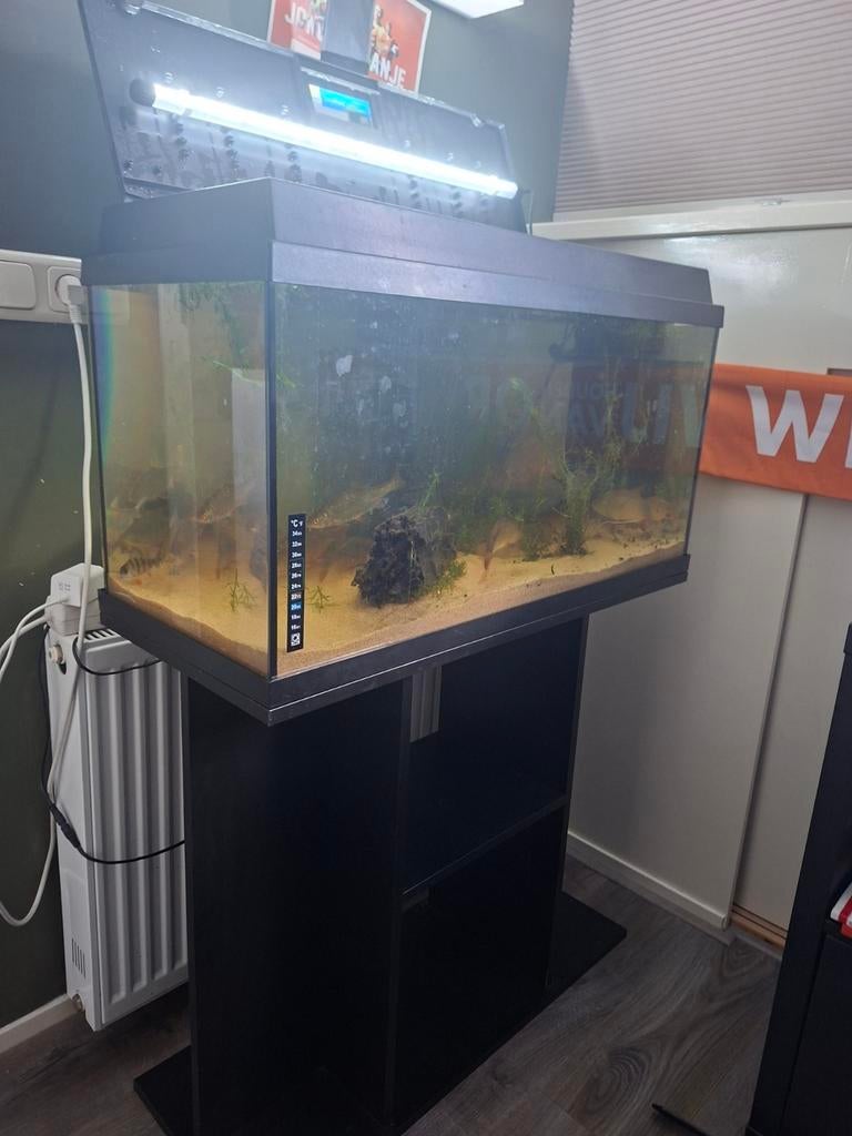 Aquarium 130 liter, Dieren en Toebehoren, Ophalen, Zo goed als nieuw, Gevuld zoetwateraquarium