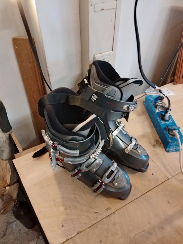 ski schoenen & skien, diverse, niet om de maat vragen, dank, 160 tot 180 cm, Gebruikt, Schoenen, Ophalen