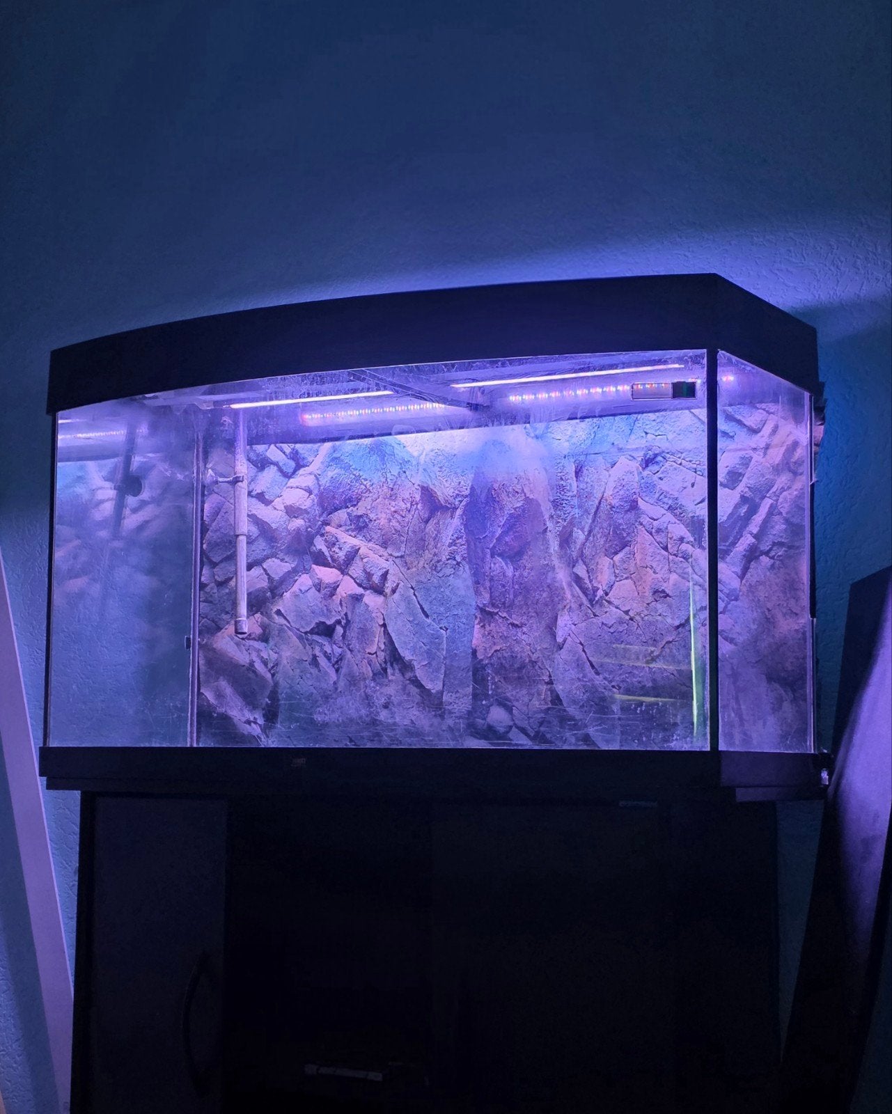 Prachtig & Compleet Juwel 260 Liter Aquarium met Onderkast., Dieren en Toebehoren, Ophalen, Gebruikt, Overige typen, Pomp
