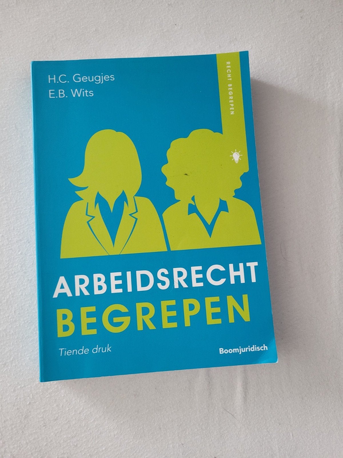 Arbeidsrecht begrepen (SJD), Boeken, Studieboeken en Cursussen, Ophalen of Verzenden, Zo goed als nieuw, HBO, Hannie Geugjes; Erica Wits