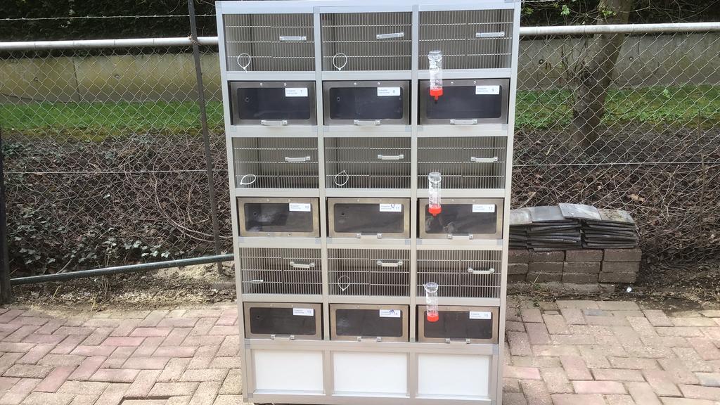 Knaagdieren stelling, muizen, hamsters, kooi, flat, Dieren en Toebehoren, Ophalen, Nvt., Kooi, 90 cm of meer