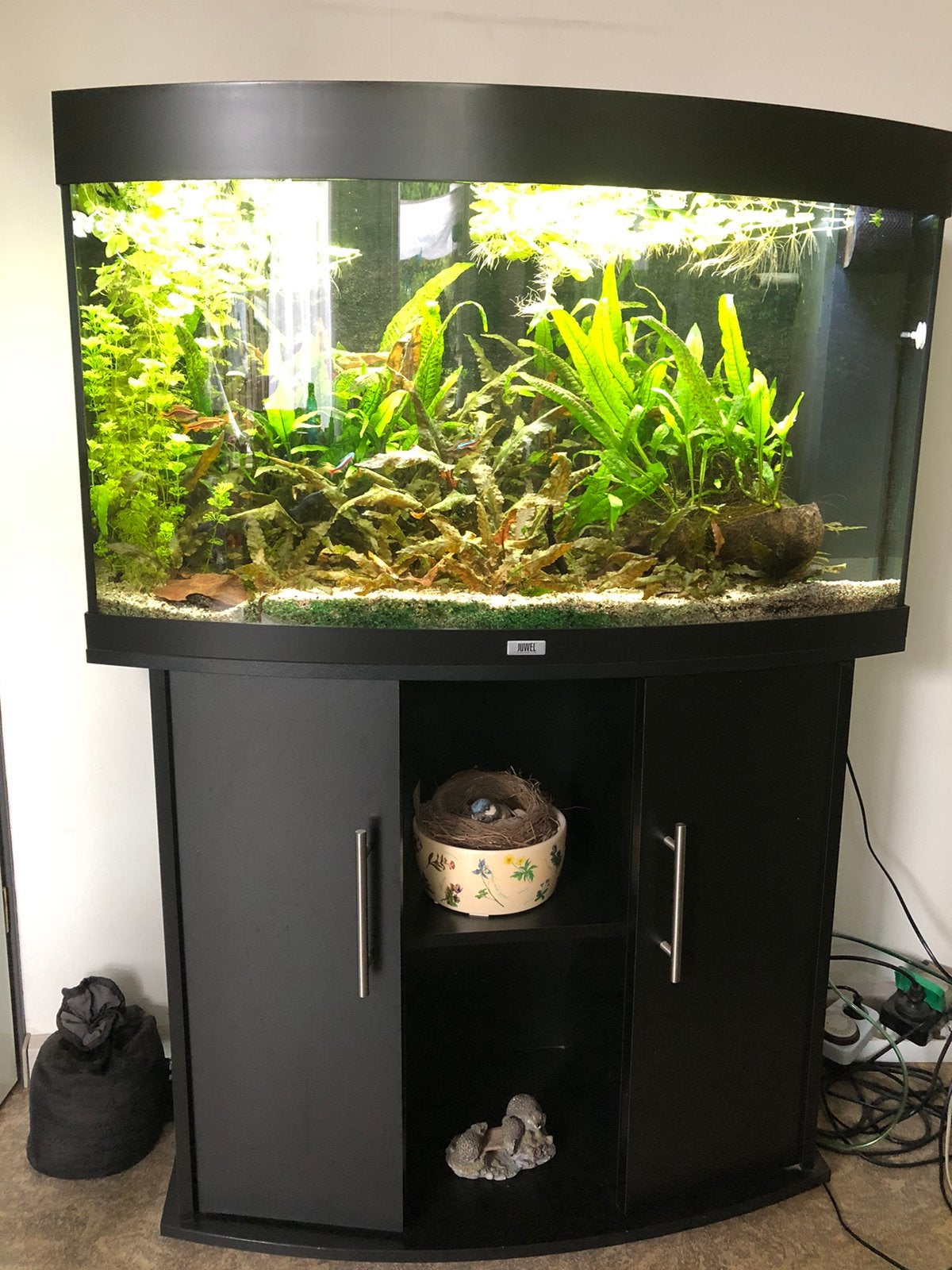 Panorama aquarium., Dieren en Toebehoren, Ophalen, Gebruikt, Inclusief vissen, Gevuld zoetwateraquarium