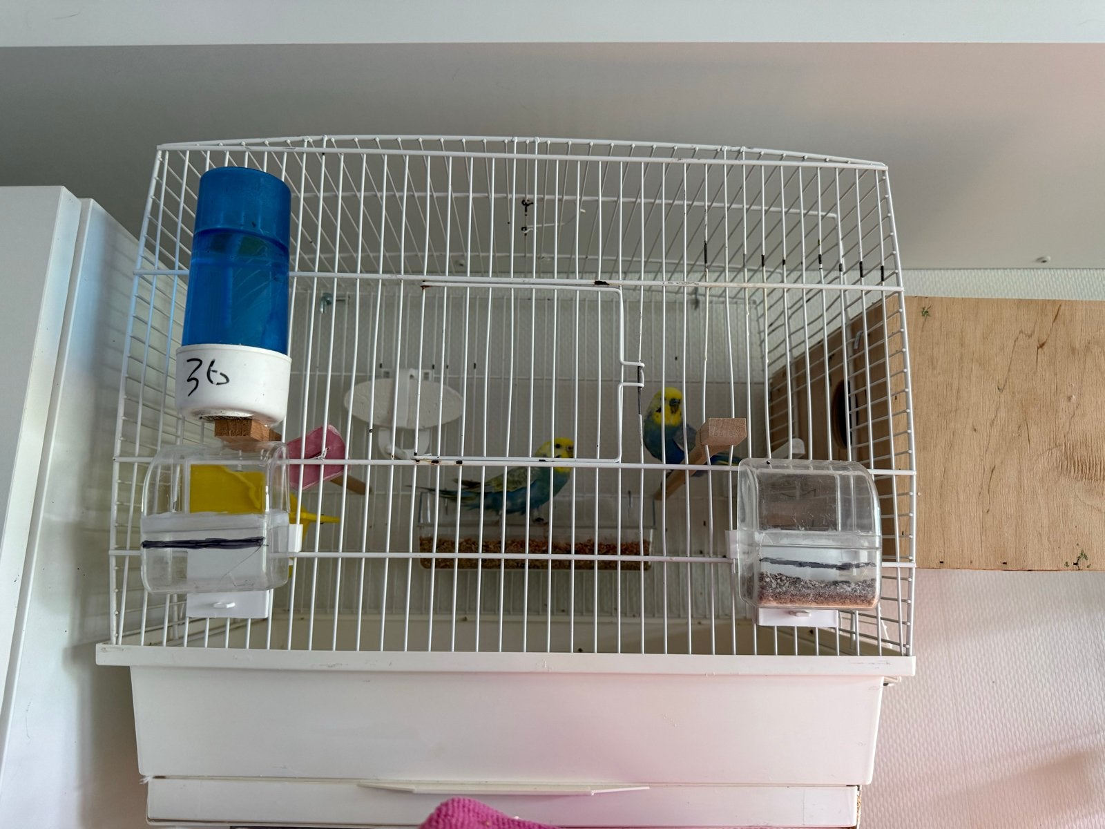 Cage for sale, Ophalen, Gebruikt, Aluminium, Vogelkooi