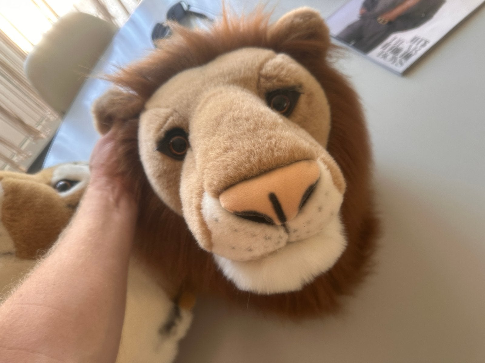 Tijger en Leeuw Hoofd - Kinderkamer Decoratie, Kinderen en Baby's, Kinderkamer | Inrichting en Decoratie, Ophalen, Overige merken