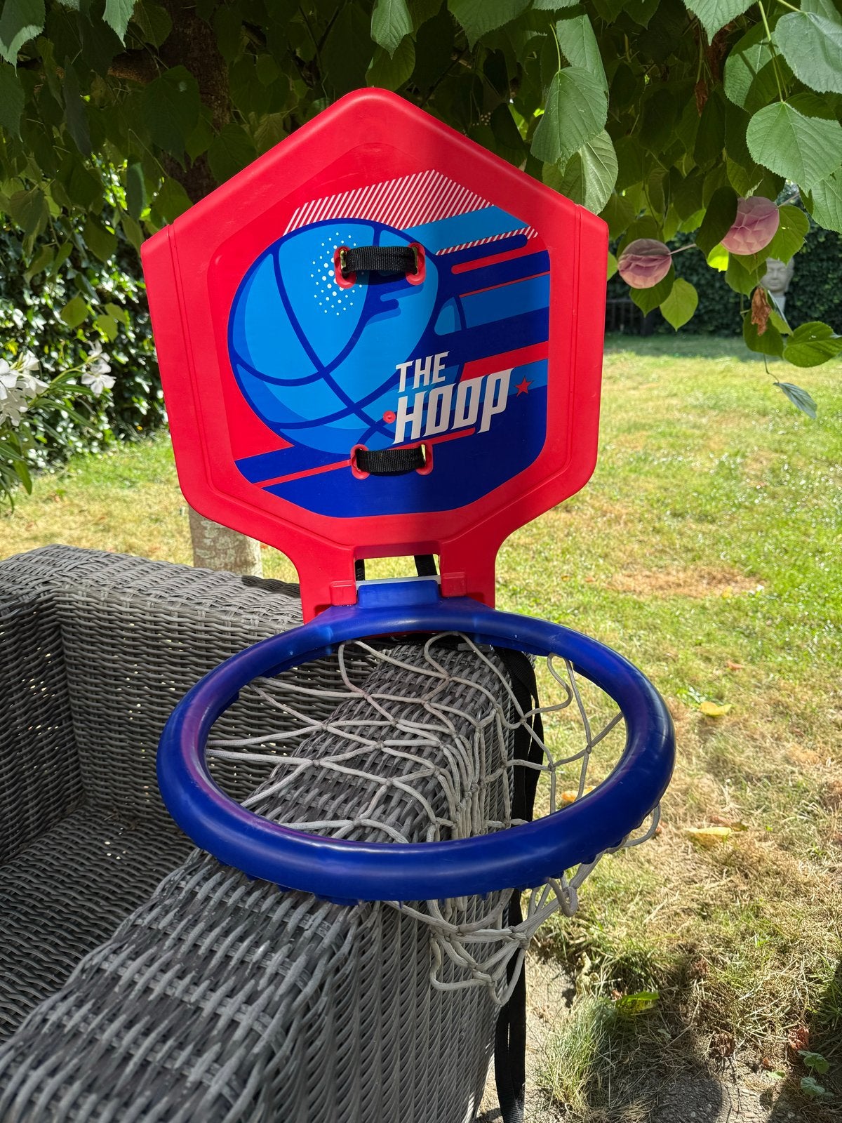 Basketbalbord voor kinderen - The Hoop, Ophalen, Gebruikt, Ring, Bord of Paal