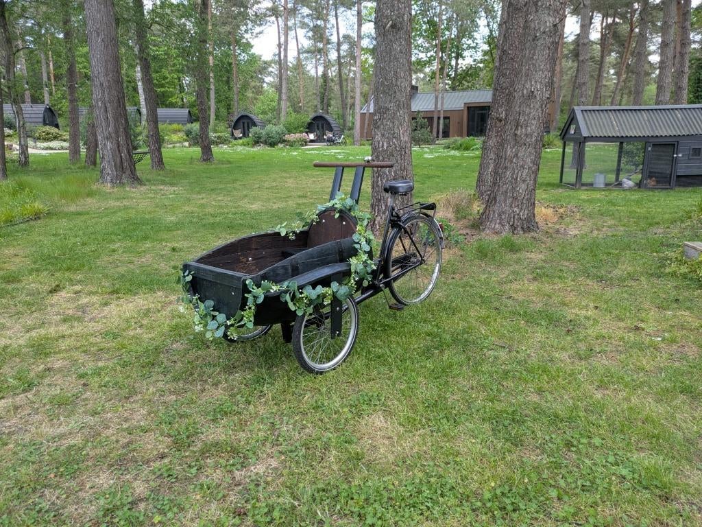 Bruiloft bakfiets, Terugtraprem, Gebruikt, 1 kind, Ophalen