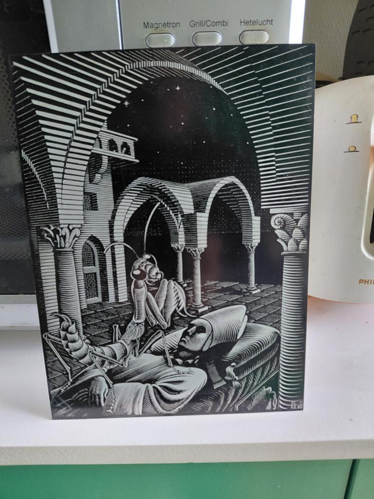Grafische plaat in stijl van Escher - 16,5 x 22 cm, Ophalen of Verzenden