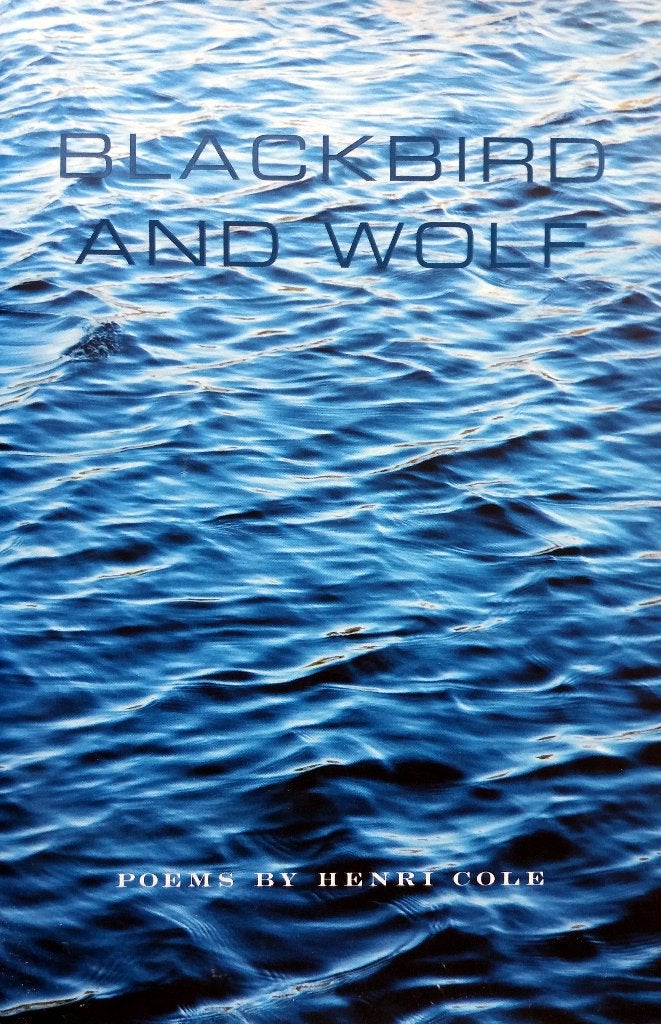 Henri Cole - Blackbird and Wolf (ENGELSTALIG), Ophalen of Verzenden, Nieuw, Fictie