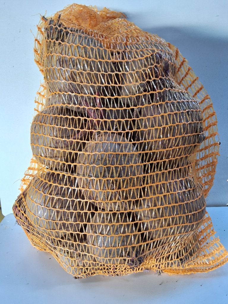 Rode Bieten Biologisch, Ophalen