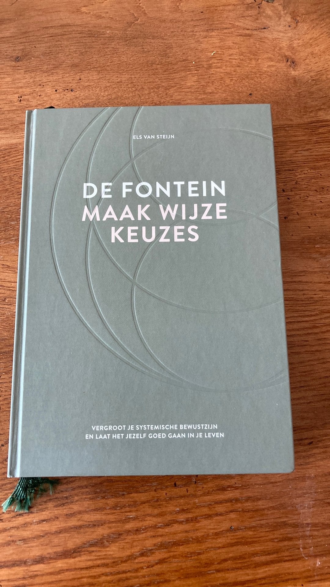 Els van Steijn - De fontein, maak wijze keuzes, Boeken, Ophalen of Verzenden, Zo goed als nieuw, Els van Steijn