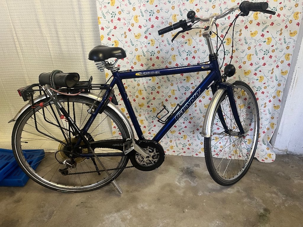 Fiets, Ophalen, Gebruikt, Versnellingen, Giant