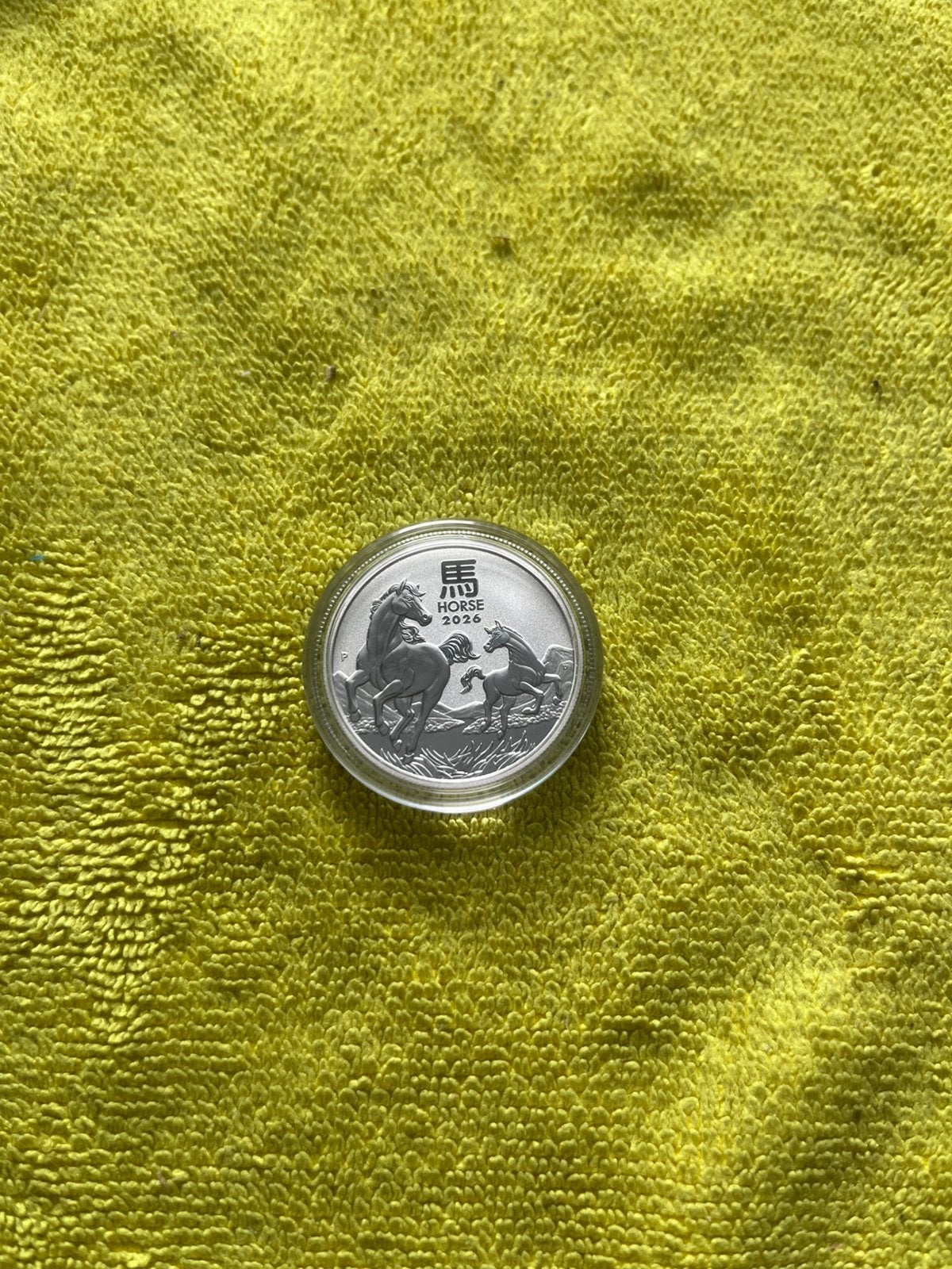 Australia 🇨🇰Lunar 3 Horse 🐴1/2 ounce 2026., Ophalen of Verzenden, Zilver