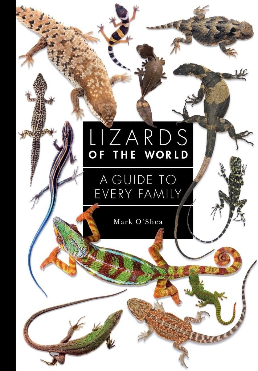 The book of snakes and lizards of the world Mark O' Shea, Boeken, Ophalen of Verzenden, Zo goed als nieuw, Reptielen of Amfibieën