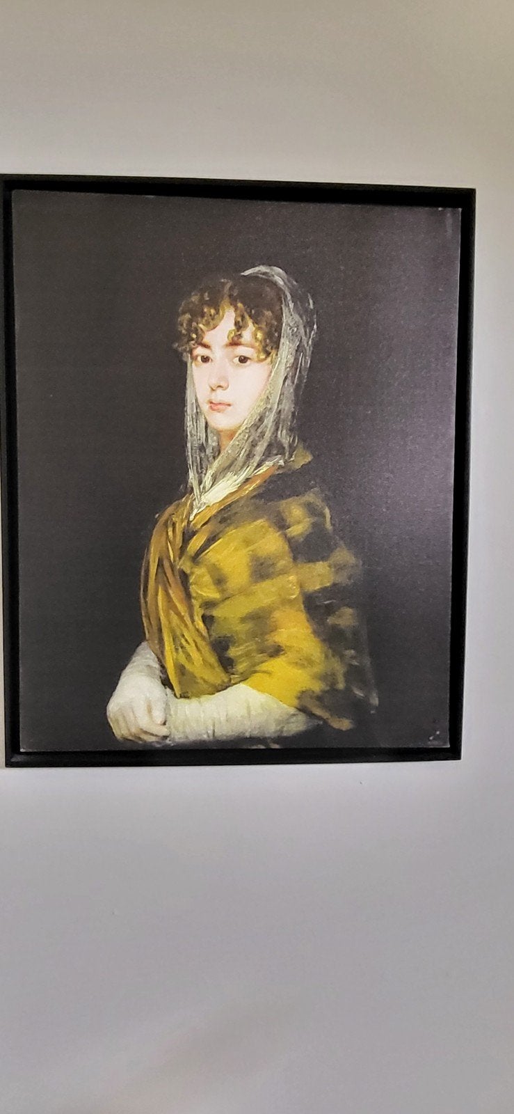 Printed canvas in baklijst Francisco de Goya, Ophalen, Zo goed als nieuw, Decoratieobject
