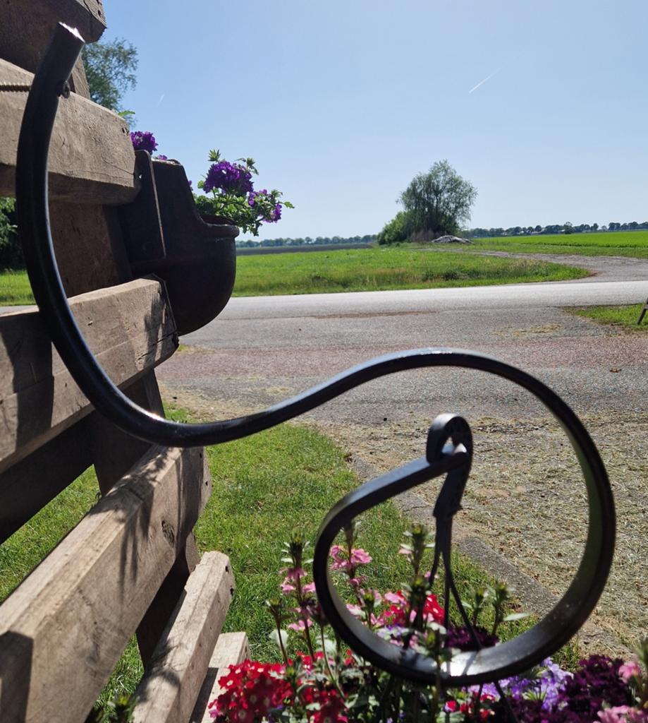 Stoere industriële plantenhanger, Tuin en Terras, Rond, Ophalen of Verzenden, Zo goed als nieuw, Metaal