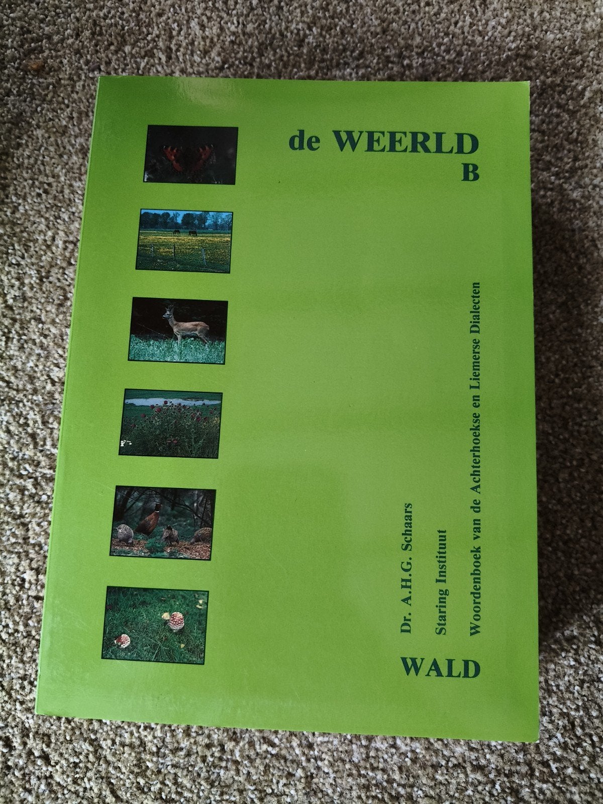 De Weerld B: Woordenboek Achterhoekse en Liemerse Dialecten, Boeken, Ophalen of Verzenden, Zo goed als nieuw, Dr. A.H.G. Schaars