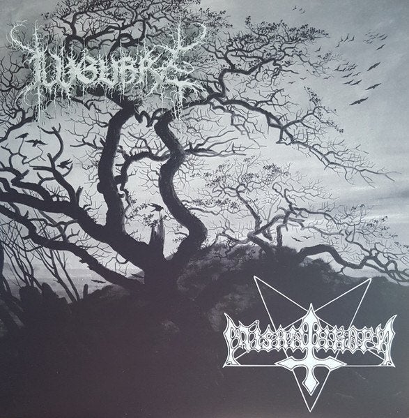 Lugubre / Misanthropy – United In Mankind's Annihilation lp, LP, Speciale editie, Ophalen of Verzenden, Death metal
