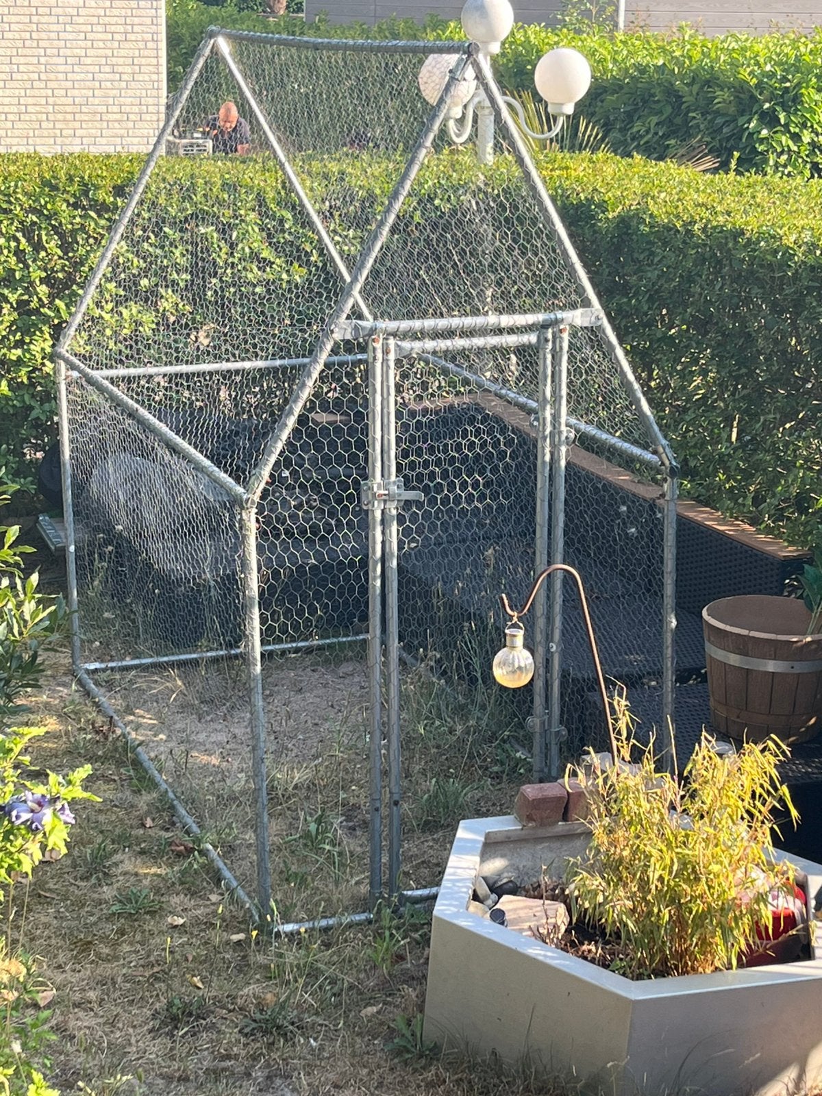 Ren te koop, 110 cm of meer, Zo goed als nieuw, Ren, Ophalen