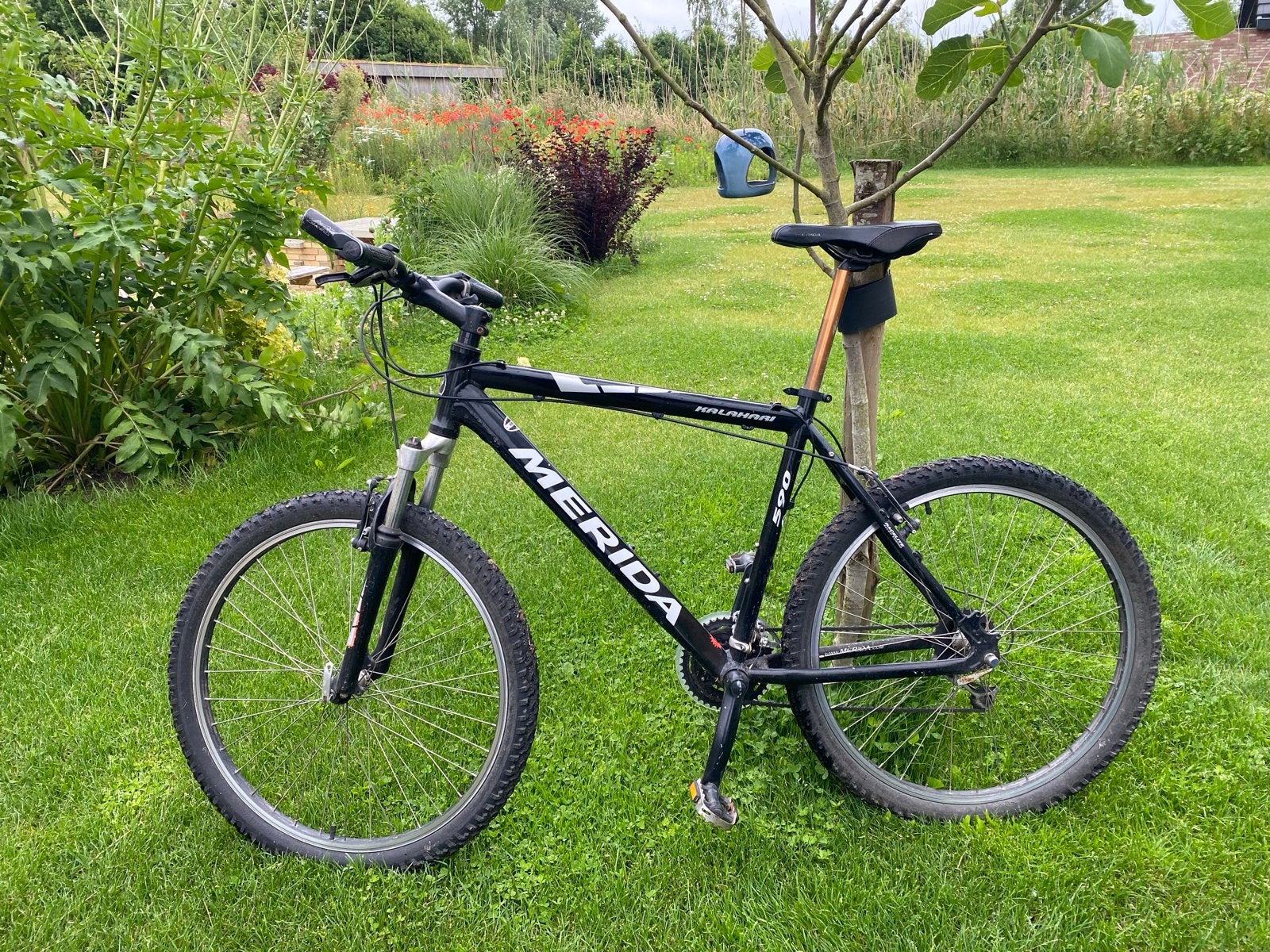 Merida Kalahari 590 Mountainbike, Ophalen, Gebruikt, Hardtail, Merida