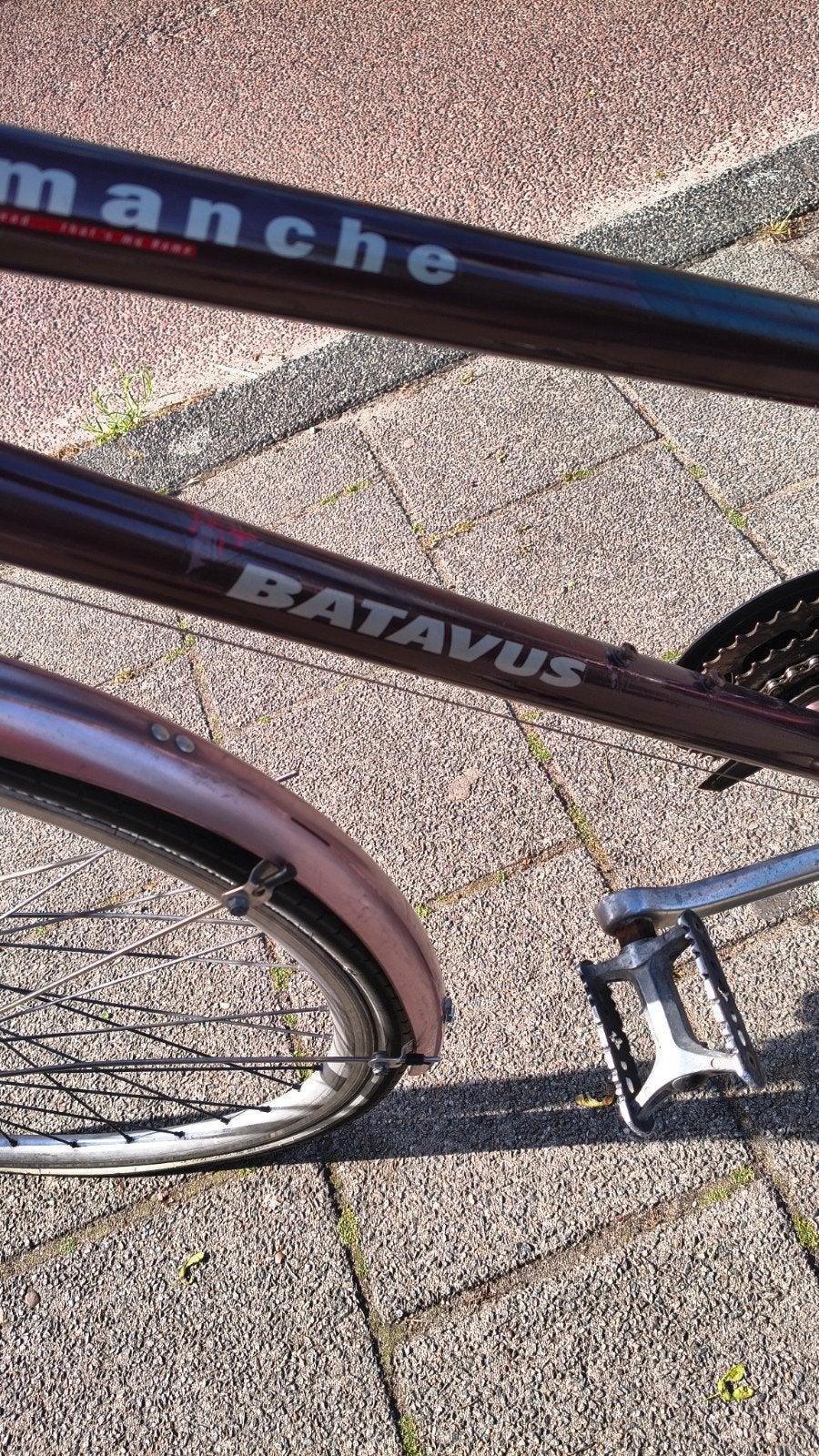 Batavus damesfiets 21 versn izgst, 53 tot 56 cm, Ophalen, Gebruikt