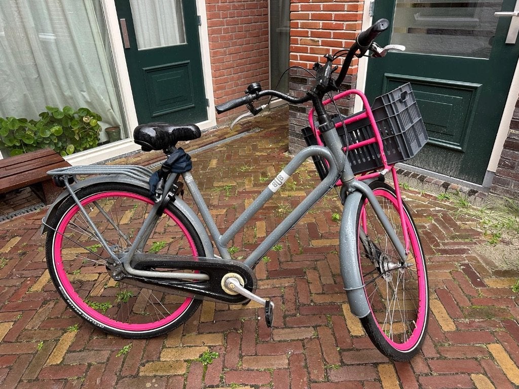 Foto 3 van Batavus city bike with pink wheels, very good condition