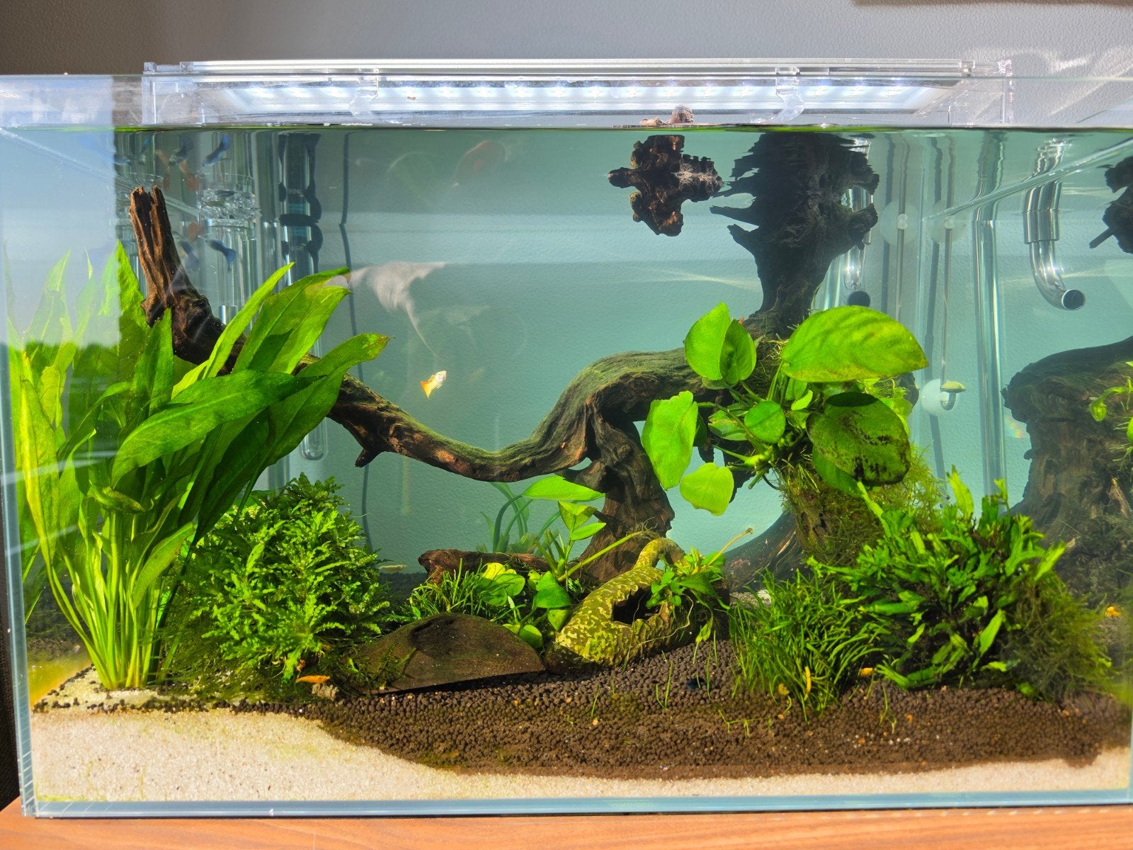 90 Liter aquarium LEEG te koop voor een leuk bod., Dieren en Toebehoren, Ophalen of Verzenden, Zo goed als nieuw, Leeg aquarium