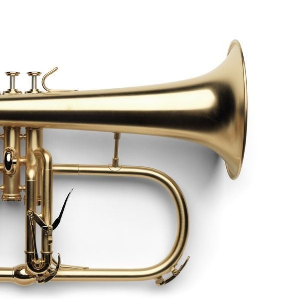 Van Laar Bugel BR 2 in Raw Brass, 2 weken jong/ Verwacht, Van Laar Trumpets and Flugelhorns, Overige typen, Nieuw, Margraten