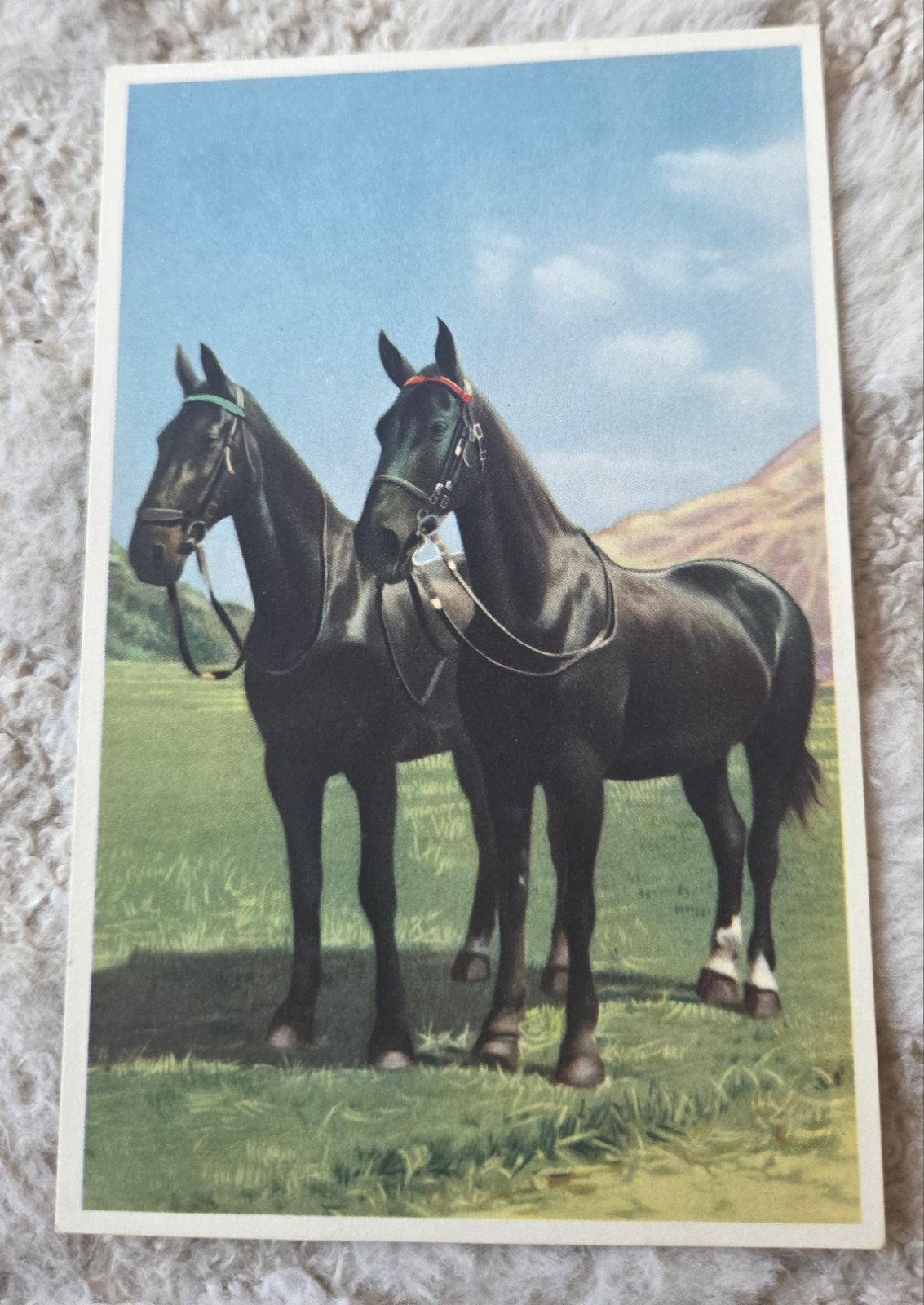 Twee paarden, Verzenden, 1940 tot 1960, Ongelopen, Paard