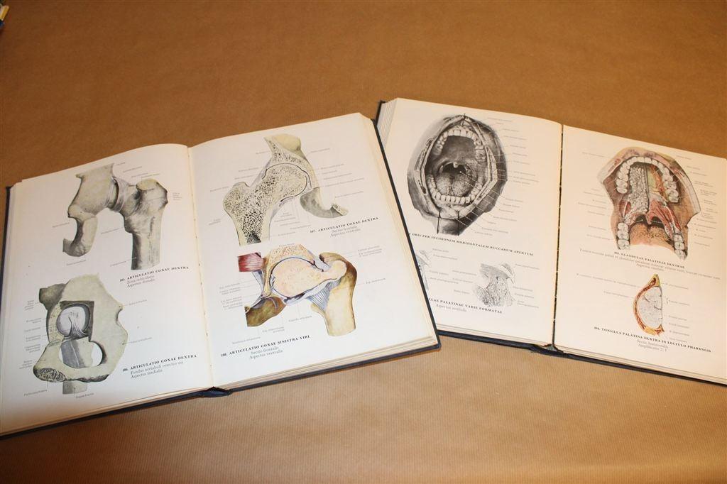 Handatlas Anatomie des Menschen [2 Delen] [1953-54], Ophalen of Verzenden, Gelezen, Natuurwetenschap