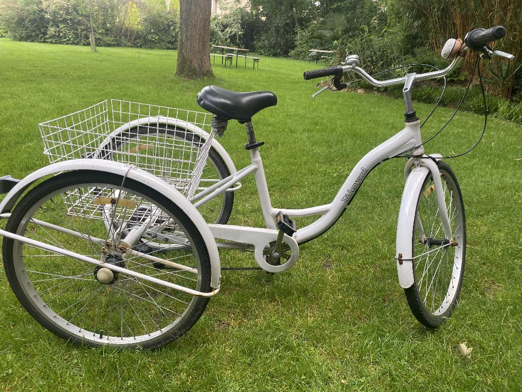 Driewieler fietsen volwassenen, Ophalen, Gebruikt, Overige merken, Versnellingen