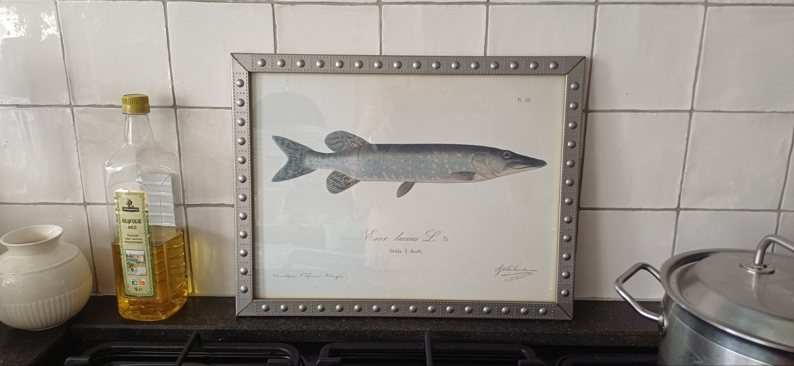 IKEA Snoek Print - Lund University Library, Ophalen, Minder dan 50 cm, Gebruikt, Print