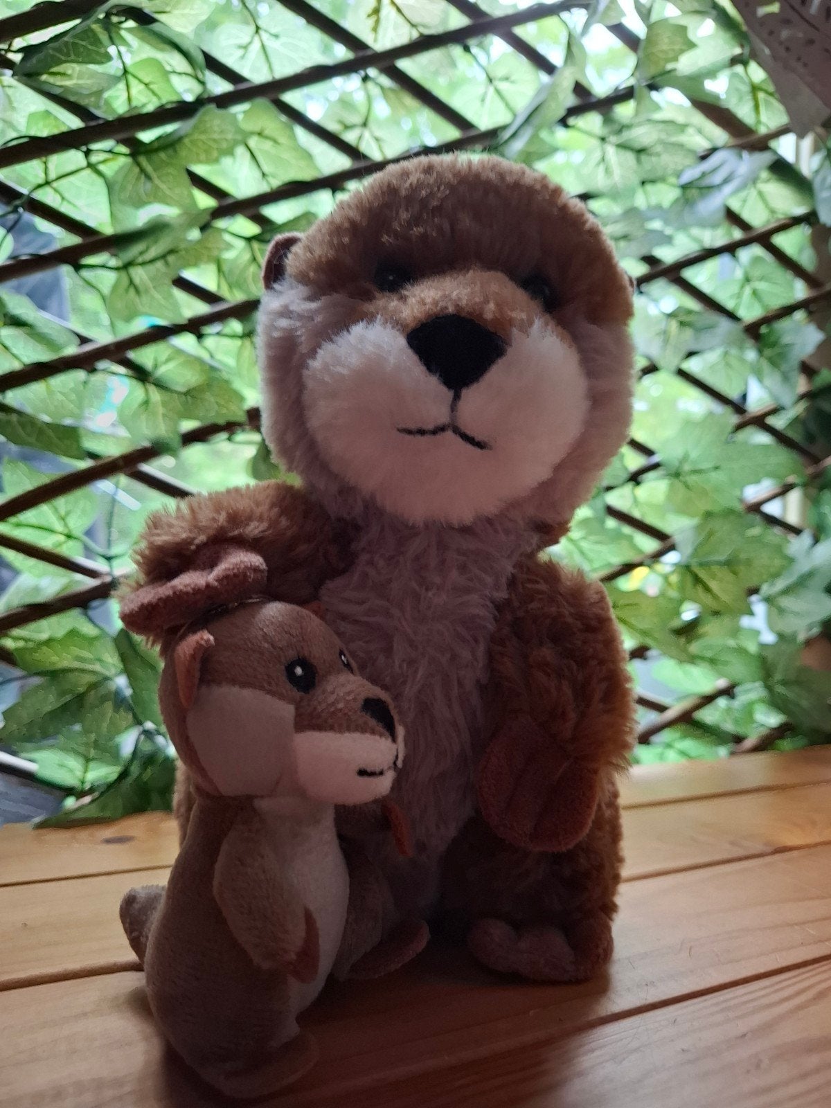 Hema Otters Knuffels - Groot en Klein, Hema, Overige typen, Ophalen of Verzenden, Middelgroot (20 tot 80 cm)