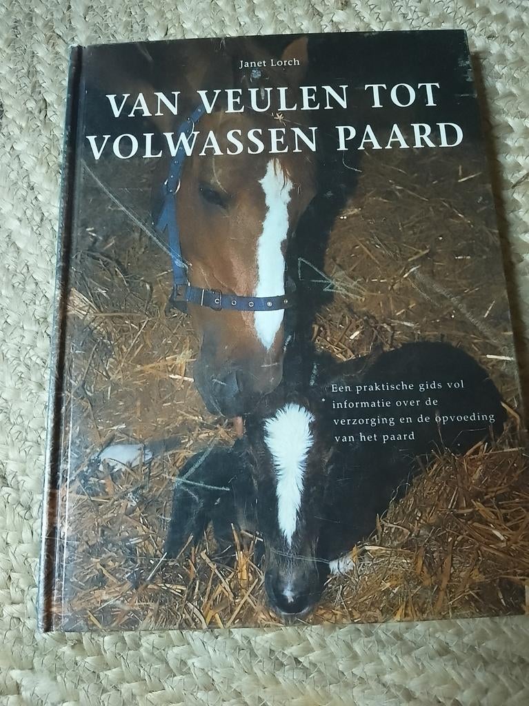 Van Veulen tot Volwassen Paard - Janet Lorch, Ophalen of Verzenden