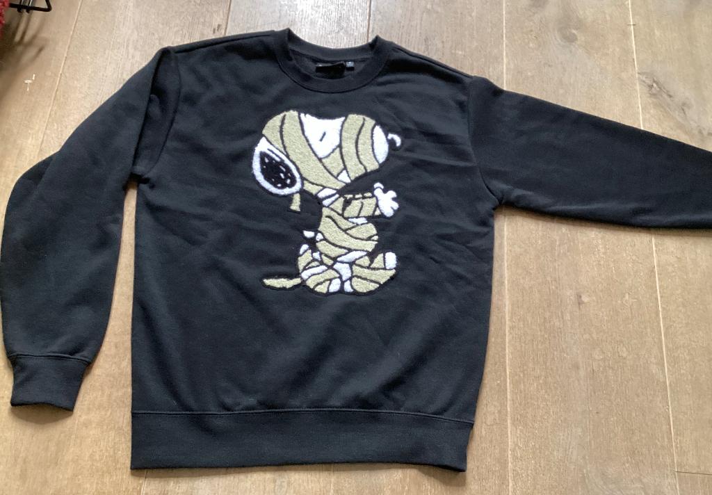 Snoopy sweater, maat S, Peanuts, Zwart, Ophalen of Verzenden, Zo goed als nieuw