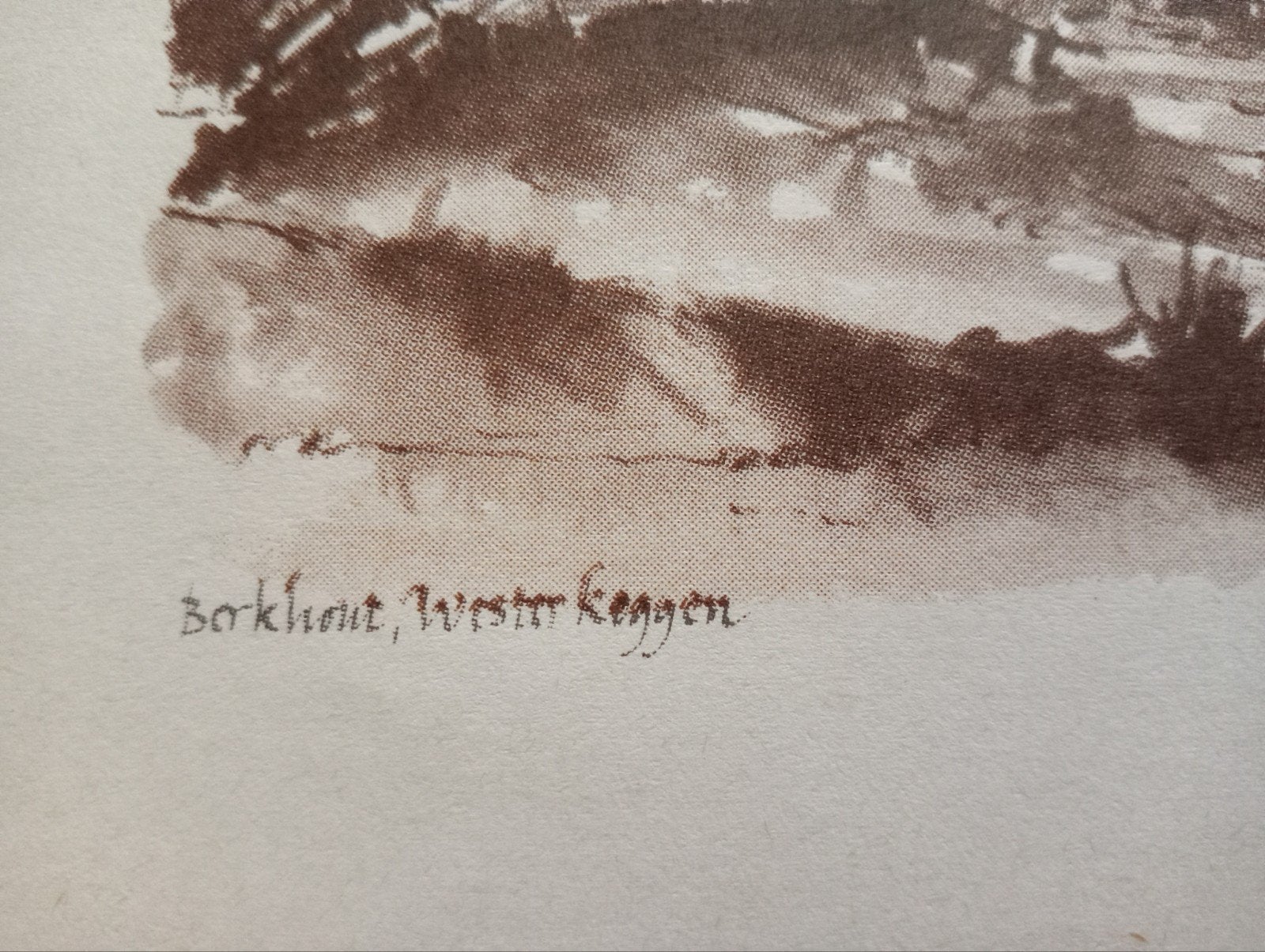 Berkhout Wester Keggen offset prent, Ophalen of Verzenden, Voor 1940, Gebruikt, Overige onderwerpen